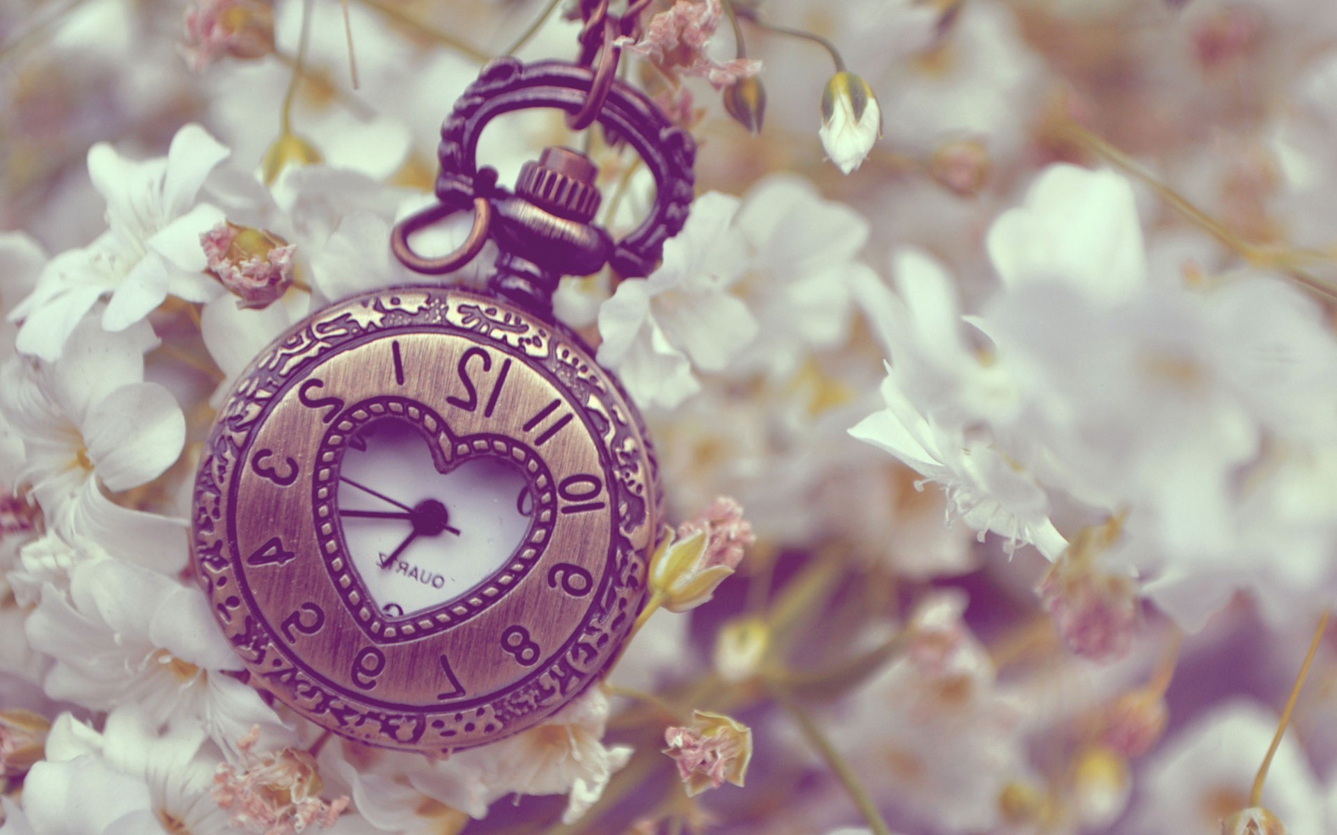 clocks, Flowers Wallpaper