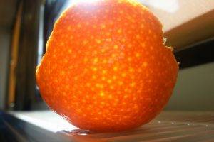 nature, Orange (fruit)
