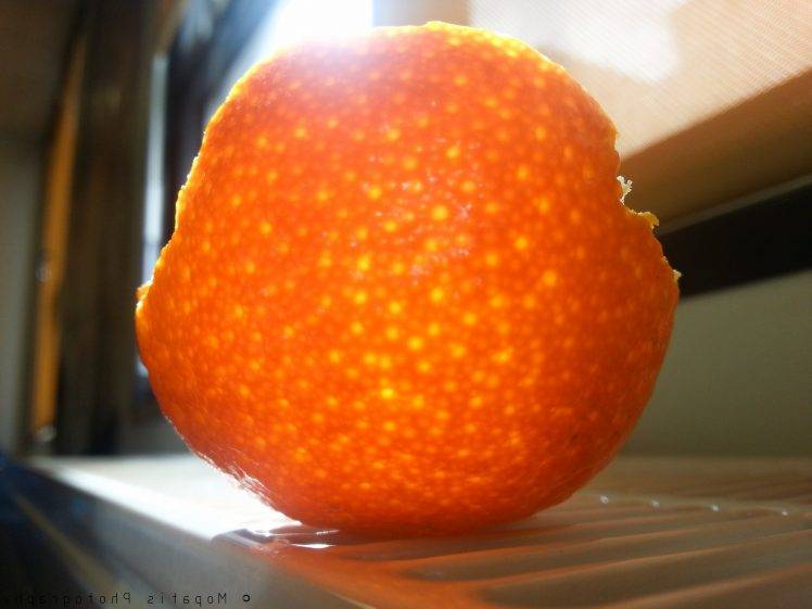 nature, Orange (fruit) HD Wallpaper Desktop Background