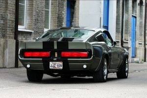 car, Shelby GT500, Ford