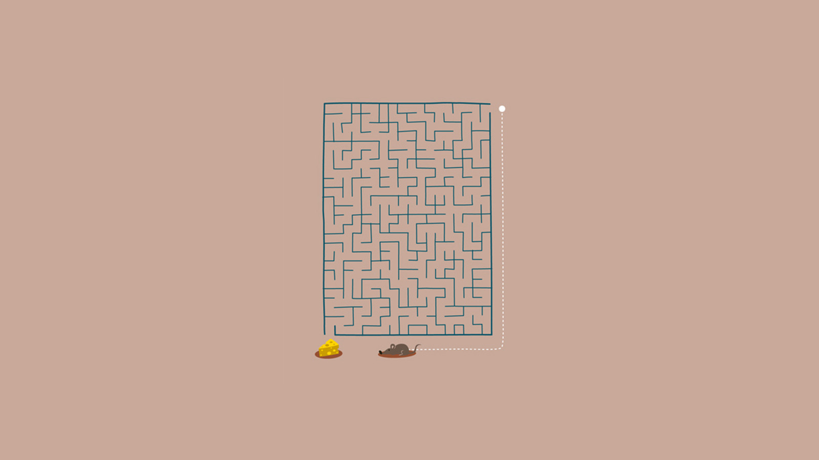 minimalism, Simple Background, Humor, Mazes, Animals, Mice, Cheese, Labyrinth Wallpaper