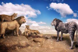 nature, Animals, Digital Art, Photo Manipulation, Humor, Lion, Zebras, Rock, Trees, Clouds, Laughing