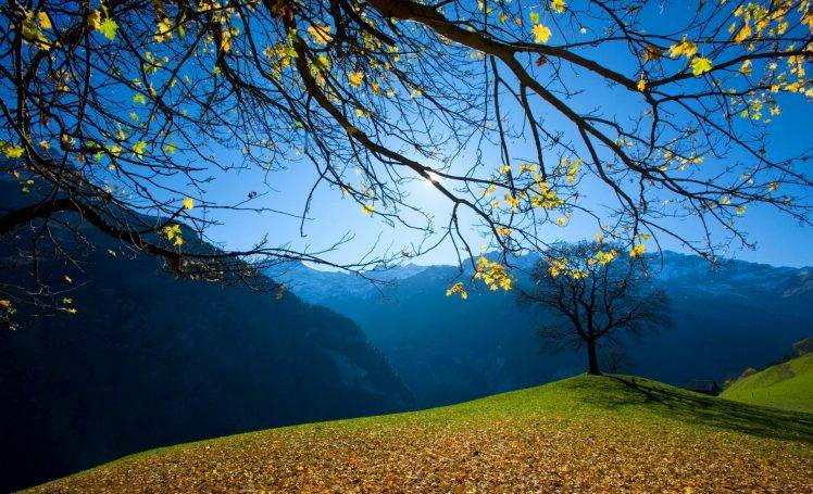 nature, Trees, Hill, Branch, Fall, Leaves, Mountain, Sunlight, Snow, House, Shadow HD Wallpaper Desktop Background