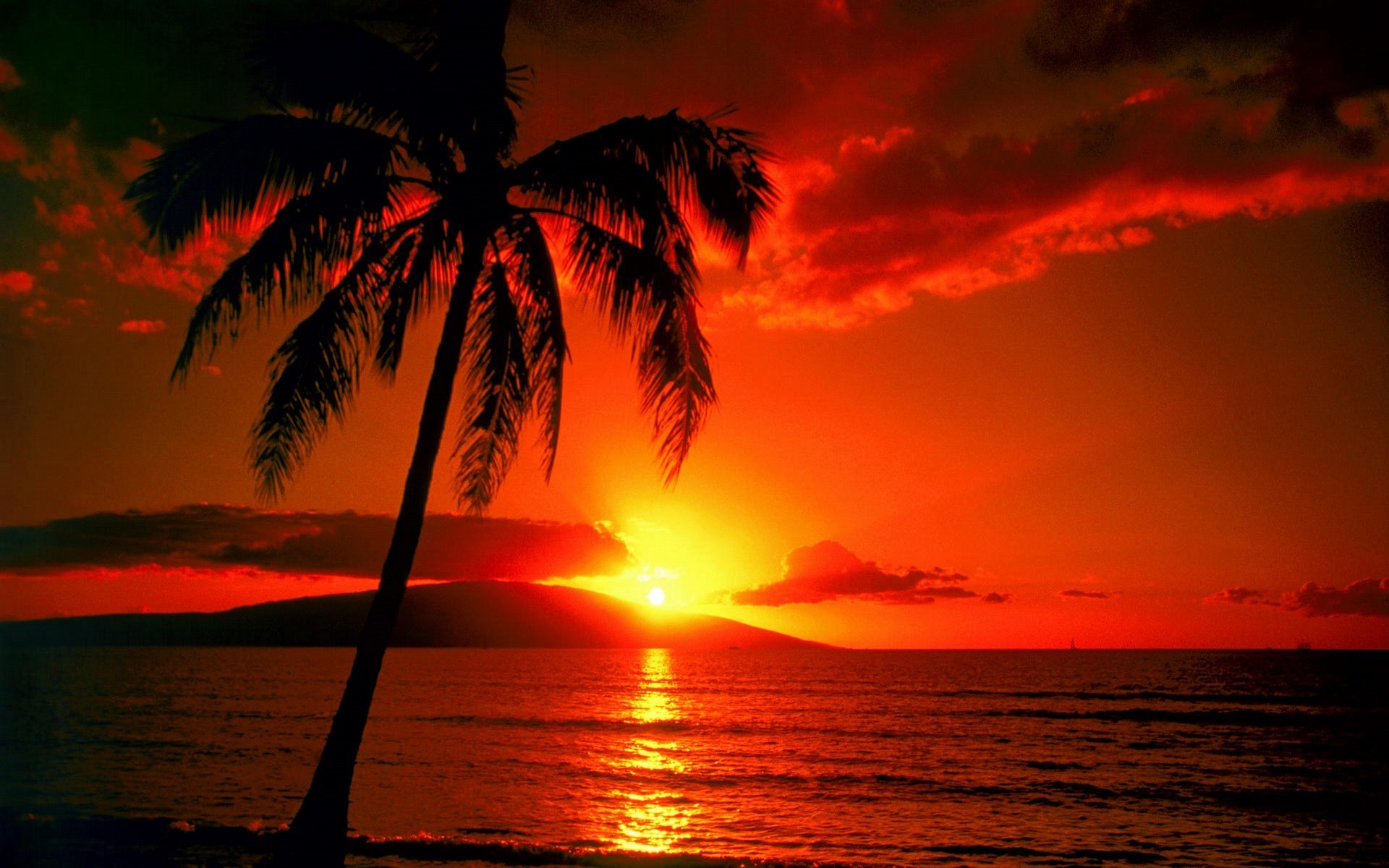 sunset, Landscape Wallpapers HD / Desktop and Mobile Backgrounds
