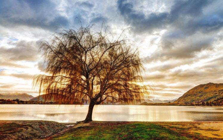 nature, Landscape, Lake, Trees HD Wallpaper Desktop Background