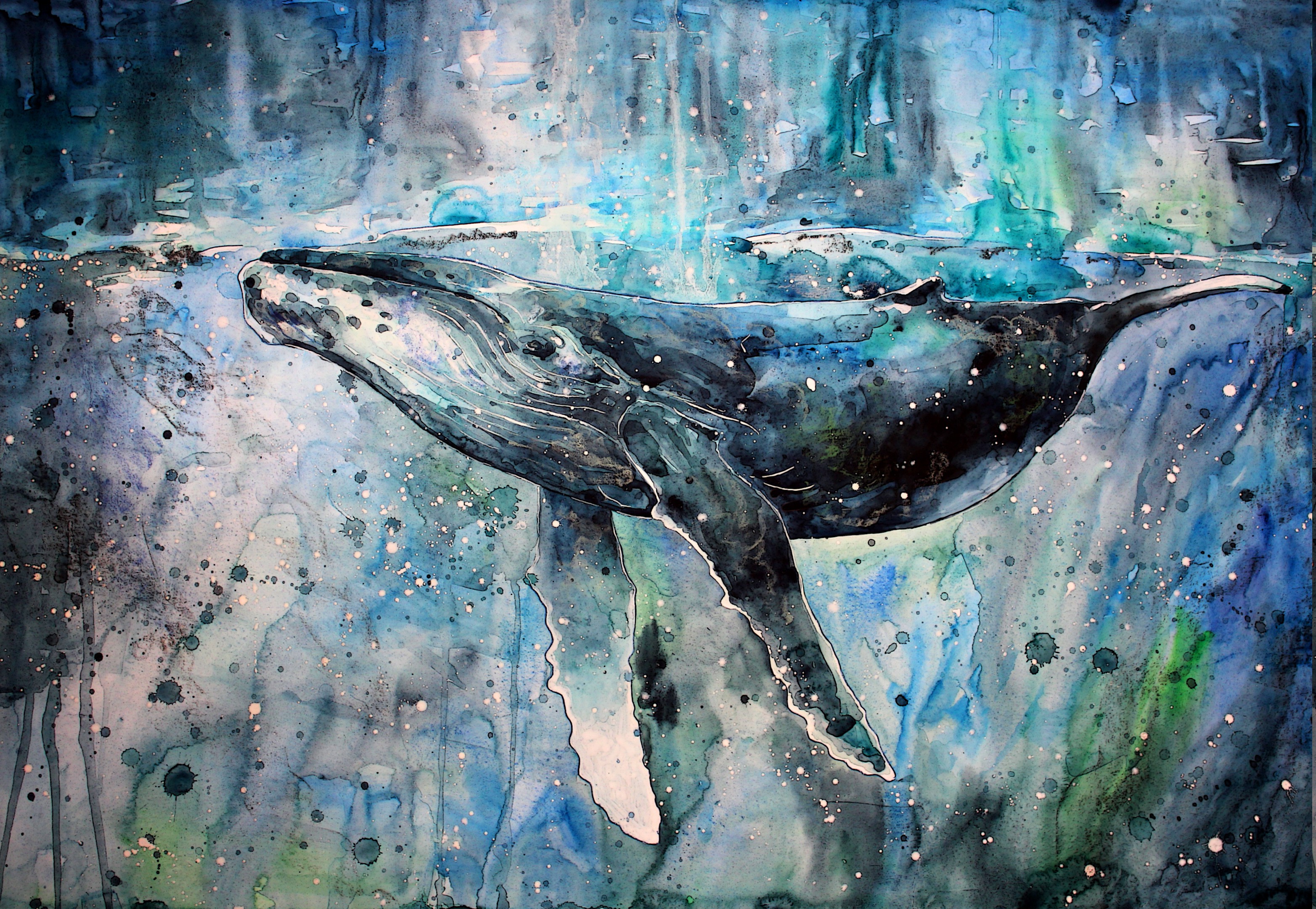 whale, Artwork, Watercolor, Paint Splatter, Animals, Painting Wallpaper