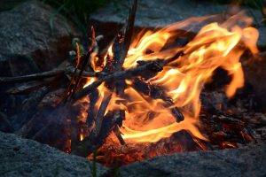 camping, Fire, Wood, Nature, Rock