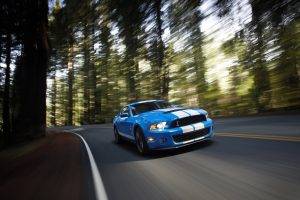 car, Ford, Ford Mustang, Shelby GT500, Ford Mustang Shelby, Blurred, Road, Trees