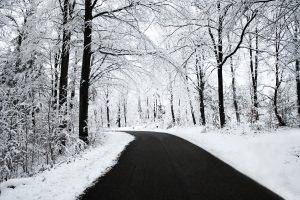 road, Snow, Black, White, Winter, Forest, Nature