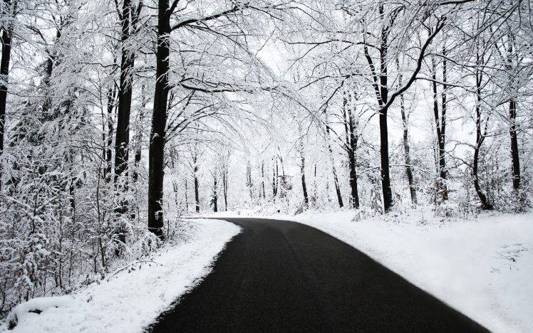 road, Snow, Black, White, Winter, Forest, Nature HD Wallpaper Desktop Background