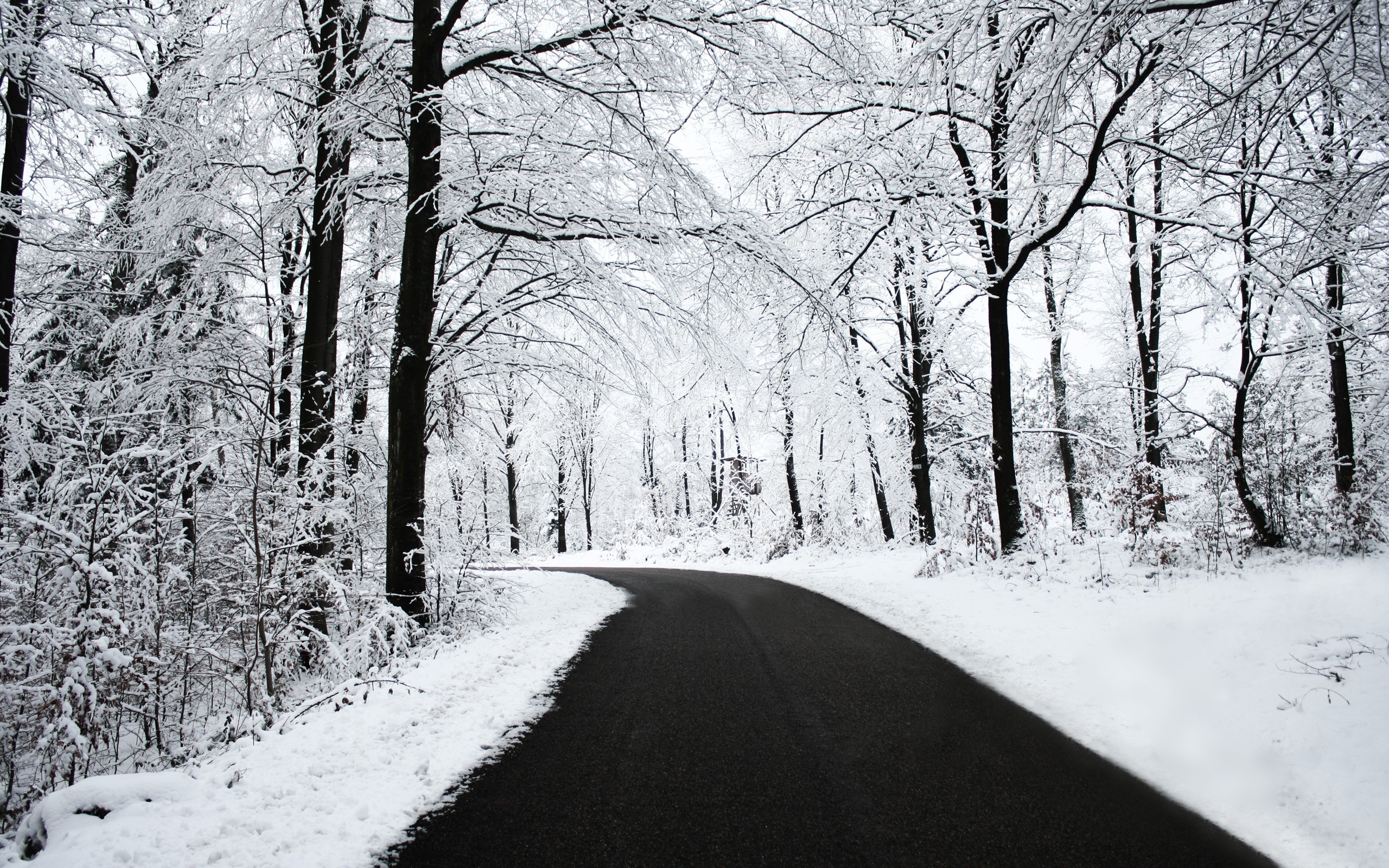 road, Snow, Black, White, Winter, Forest, Nature Wallpaper