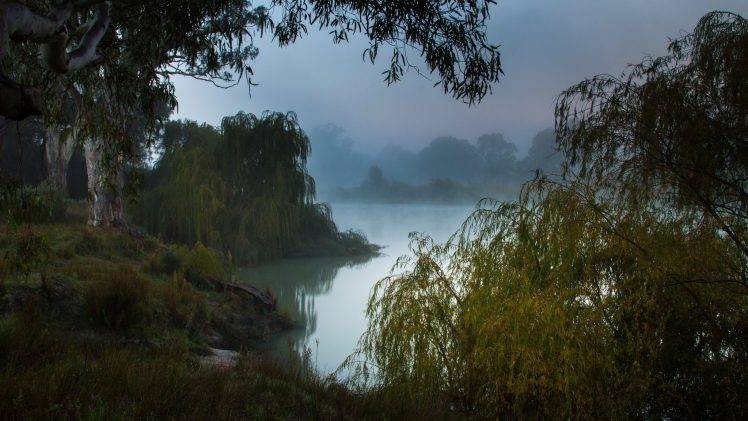 nature, Landscape, Trees, Lake, Australia, Morning, Mist, Forest HD Wallpaper Desktop Background