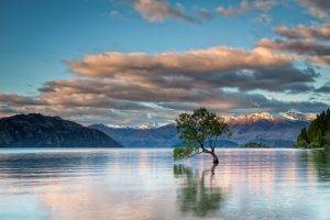 nature, Landscape, Trees, Lake Wanaka, New Zealand, Lake, Clouds, Mountain, Snow, Horizon, Reflection