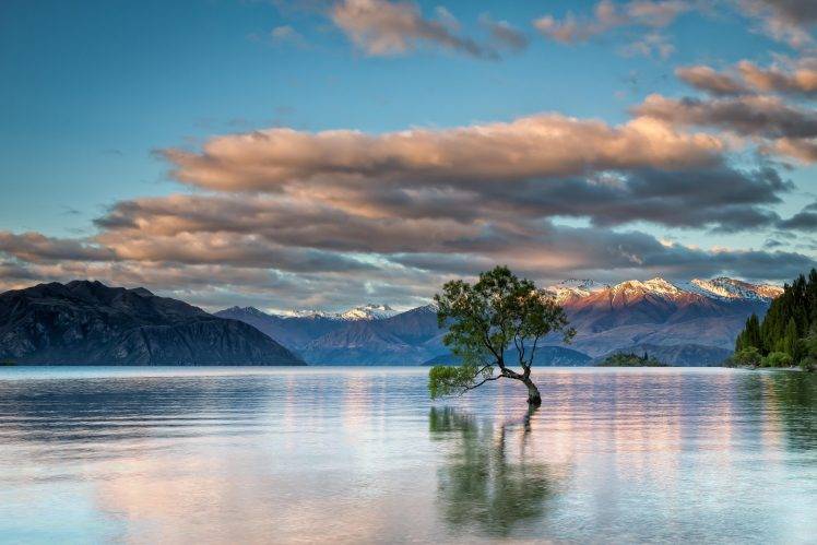 nature, Landscape, Trees, Lake Wanaka, New Zealand, Lake, Clouds, Mountain, Snow, Horizon, Reflection HD Wallpaper Desktop Background