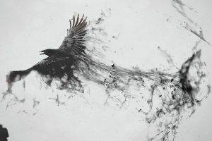 minimalism, Digital Art, Artwork, Animals, Raven, Crow, Paint Splatter, Monochrome, White Background