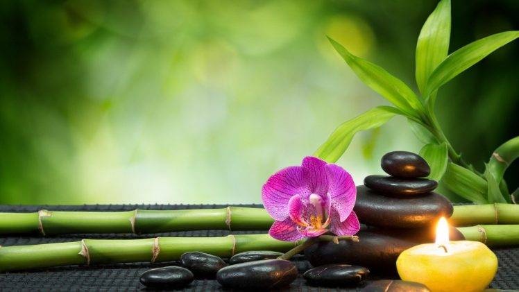 nature, Orchids, Pebbles, Candles, Bamboo HD Wallpaper Desktop Background