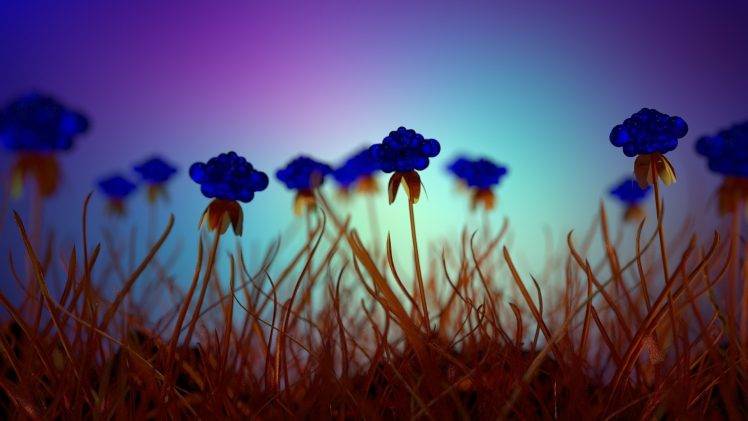 nature, Flowers, Field, Plants, Depth Of Field, Blue Flowers HD Wallpaper Desktop Background