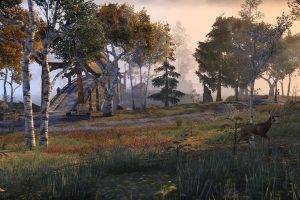 The Elder Scrolls Online, Quadruple Monitors, Wildlife, Forest