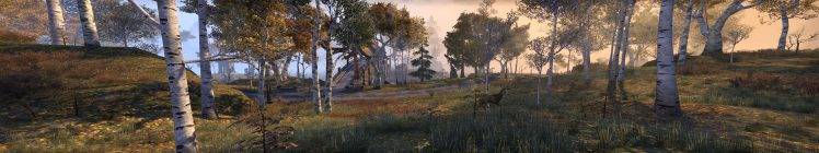The Elder Scrolls Online, Quadruple Monitors, Wildlife, Forest HD Wallpaper Desktop Background