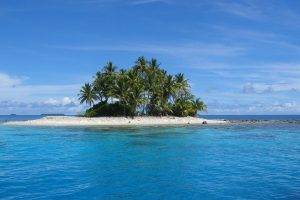 island, Palm Trees, Landscape, Nature, Beach, Sea
