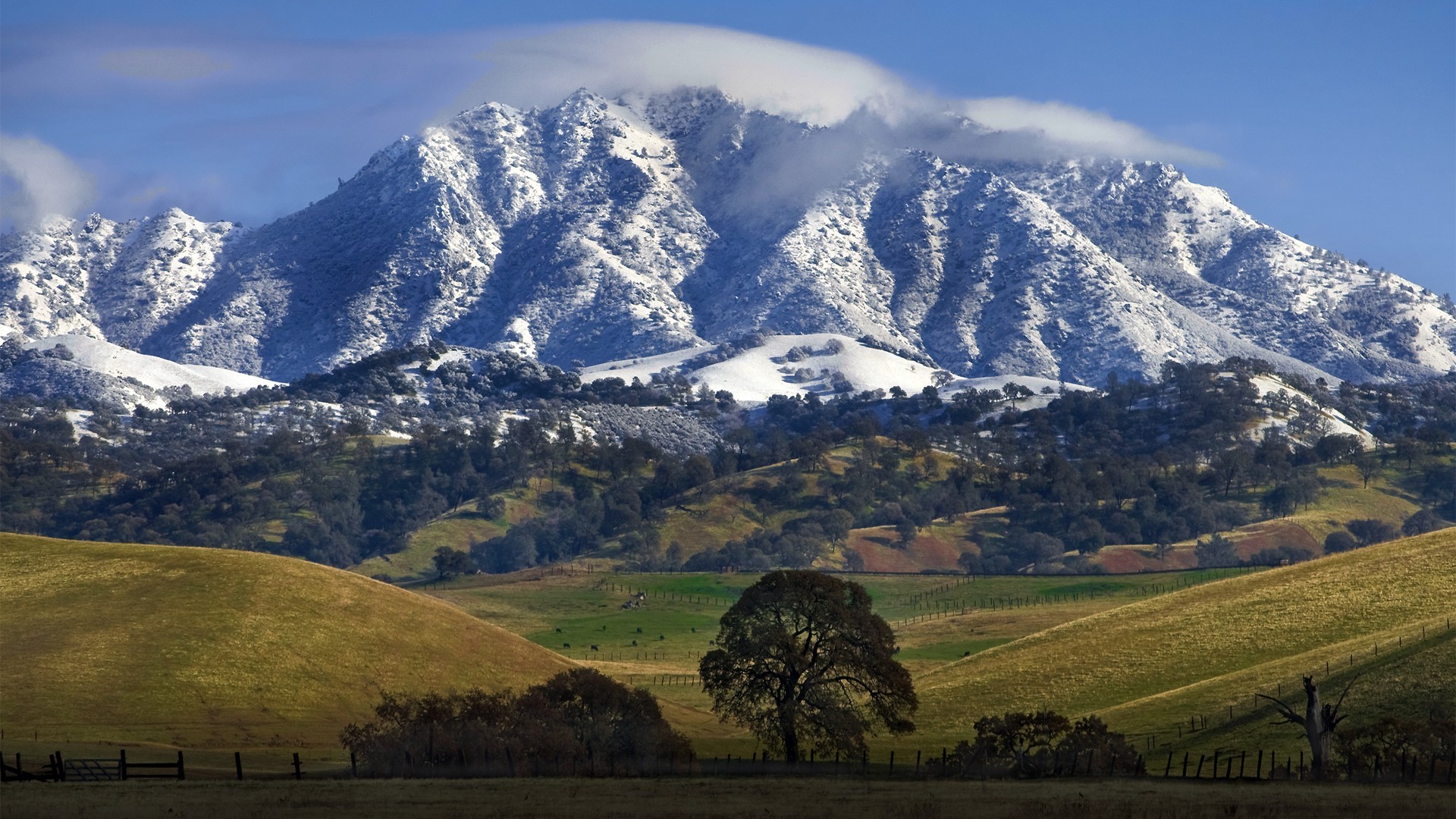 nature, Landscape, Mountain, Hill, Trees, Snow Wallpapers HD / Desktop