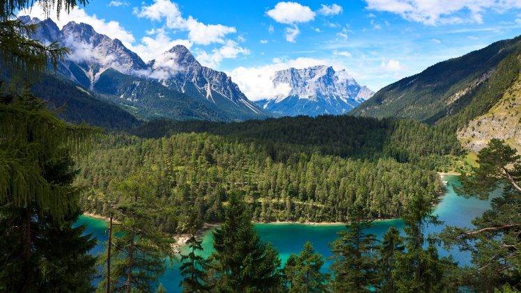 landscape, Nature, Forest, Mountain, Pine Trees HD Wallpaper Desktop Background