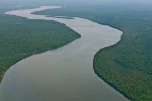 river, Amazon, Forest, Nature, Landscape, Tropical Forest