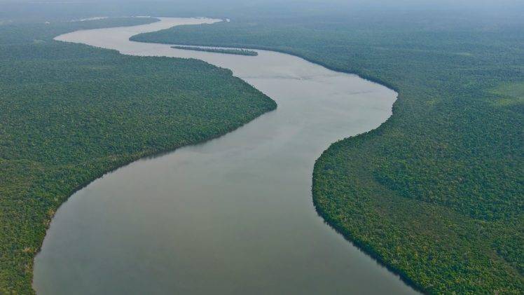 river, Amazon, Forest, Nature, Landscape, Tropical Forest HD Wallpaper Desktop Background