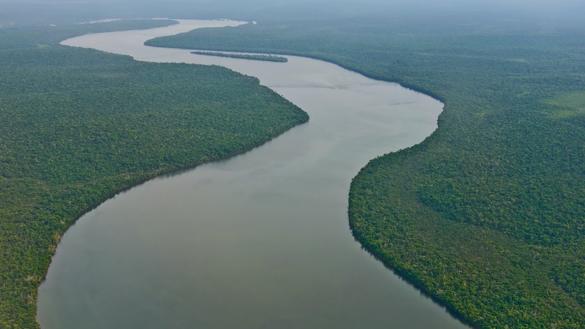 river, Amazon, Forest, Nature, Landscape, Tropical Forest Wallpaper