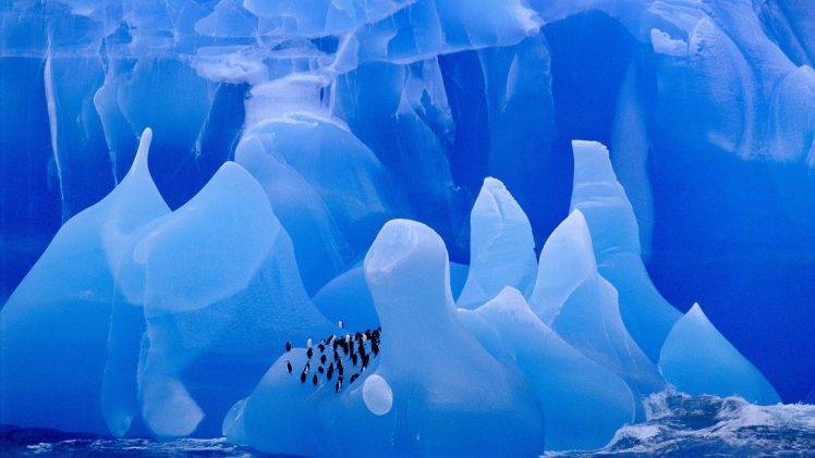 ice, Glaciers, Penguins, Animals, Iceberg, Birds HD Wallpaper Desktop Background