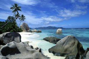 sea, Beach, Landscape, Nature, Palm Trees, Rock