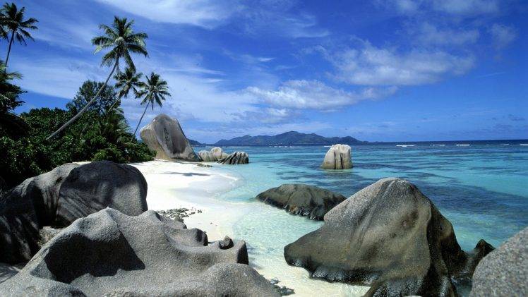 sea, Beach, Landscape, Nature, Palm Trees, Rock HD Wallpaper Desktop Background