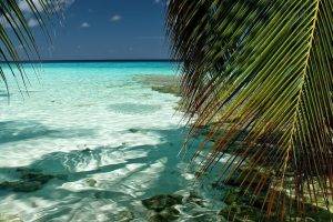 nature, Landscape, Beach, Sea, Palm Trees