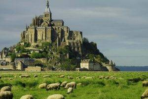 Mont Saint Michel, Castle, France, Plains, Sheep, Old Building, Building, Landscape