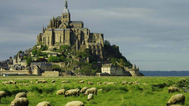 Mont Saint Michel, Castle, France, Plains, Sheep, Old Building, Building, Landscape HD Wallpaper Desktop Background