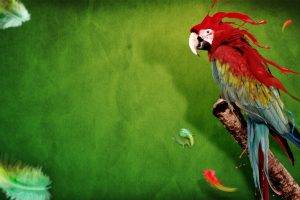 macaws, Animals, Digital Art, Birds, Parrot, Feathers