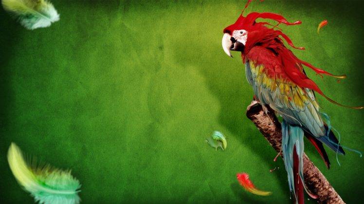 macaws, Animals, Digital Art, Birds, Parrot, Feathers HD Wallpaper Desktop Background