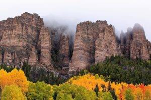 forest, Mountain, Rock, Cliff, Mist, Nature, Landscape
