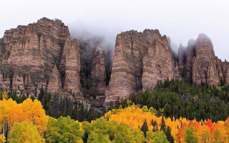 forest, Mountain, Rock, Cliff, Mist, Nature, Landscape HD Wallpaper Desktop Background