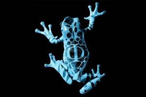 frog, Nature, Animals, Fringe (TV Series), Amphibian, Black Background, Poison Dart Frogs