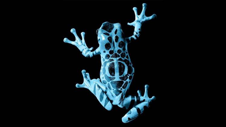 frog, Nature, Animals, Fringe (TV Series), Amphibian, Black Background, Poison Dart Frogs HD Wallpaper Desktop Background