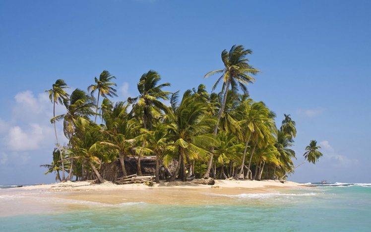 palm Trees, Island, Nature, Landscape HD Wallpaper Desktop Background