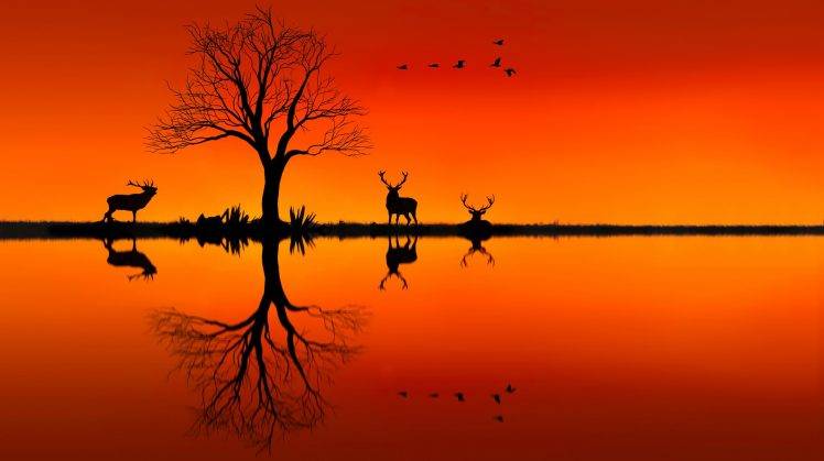 nature, Landscape, Animals, Trees, Sunset, Silhouette, Birds, Photo Manipulation, Deer, Horizon, Reflection, Orange HD Wallpaper Desktop Background