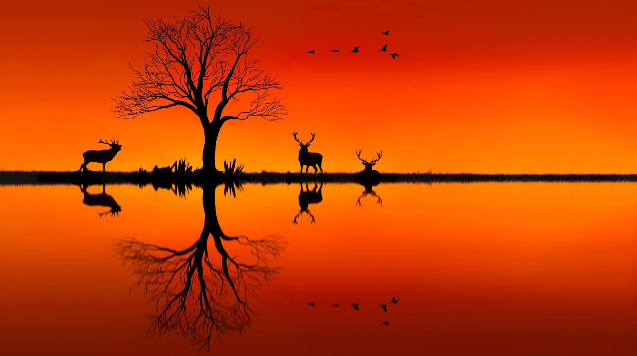 nature, Landscape, Animals, Trees, Sunset, Silhouette, Birds, Photo Manipulation, Deer, Horizon, Reflection, Orange Wallpaper