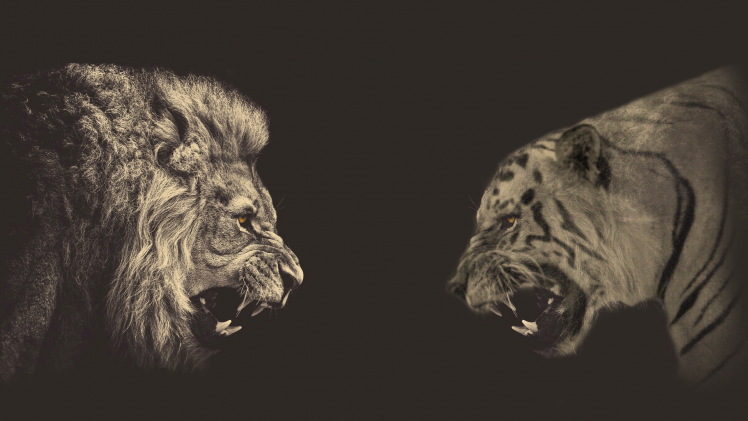 animals, Photo Manipulation, Sepia, Lion, Tiger HD Wallpaper Desktop Background
