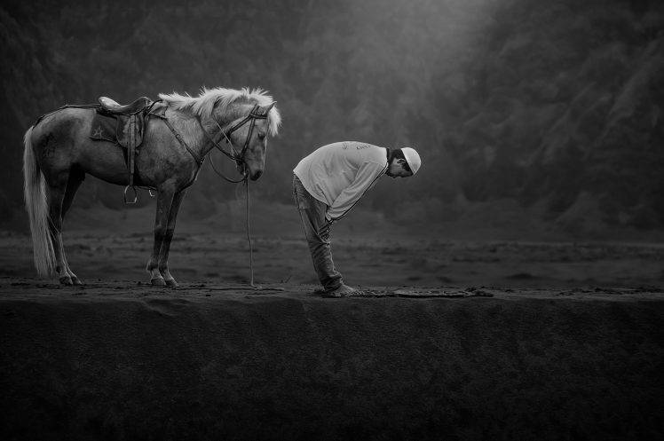 horse, Animals, Men, Praying, Islam, Indonesia HD Wallpaper Desktop Background