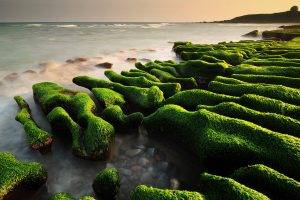 landscape, Nature, Rock, Moss, Sea