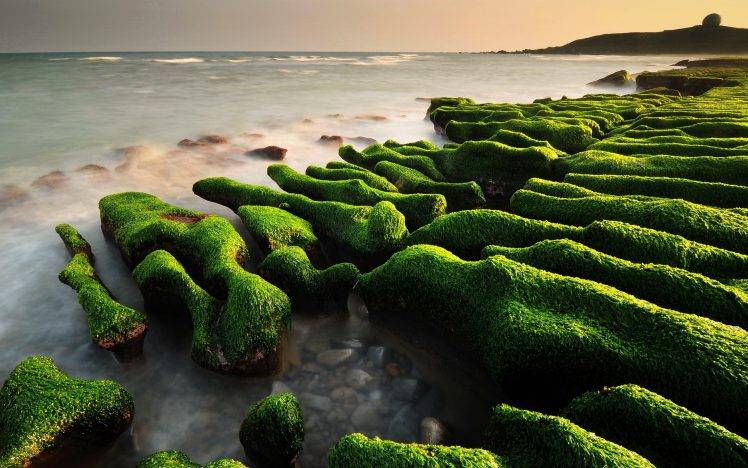 landscape, Nature, Rock, Moss, Sea HD Wallpaper Desktop Background