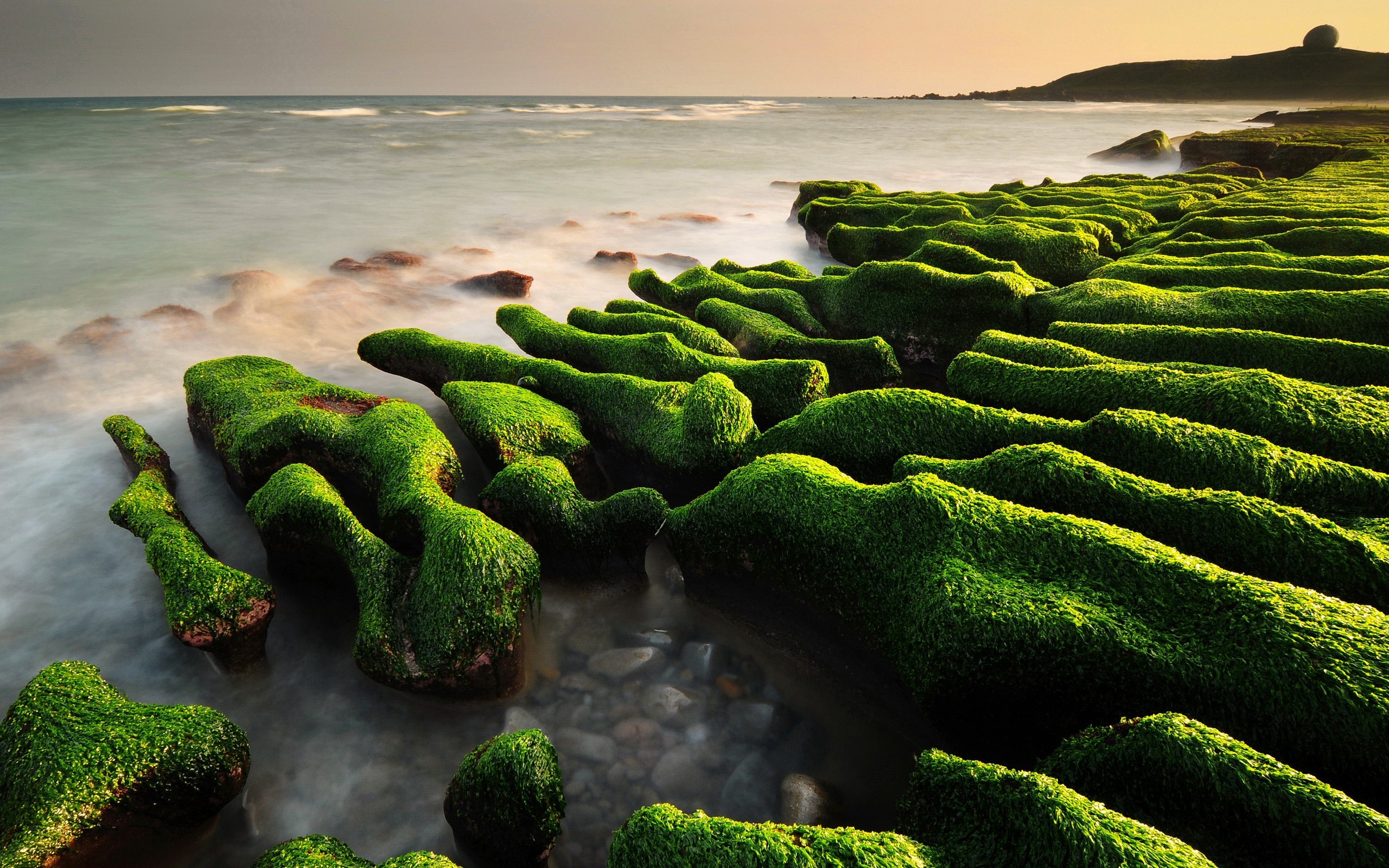 landscape, Nature, Rock, Moss, Sea Wallpaper