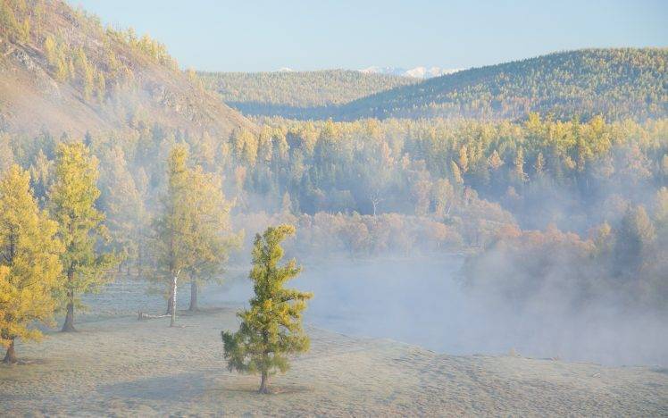 landscape, Nature, Mist, Forest, Hill HD Wallpaper Desktop Background